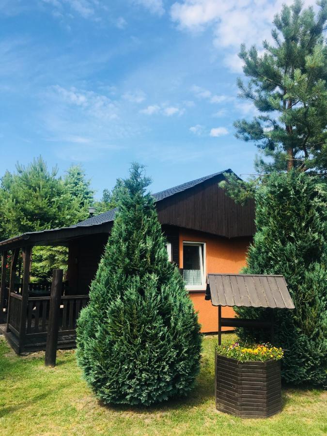 Domki Holiday Park Bialogora Exterior photo